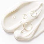 Ceramides