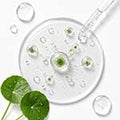 Cica Exosomes
